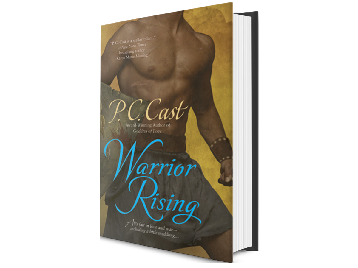 Warrior Rising 4x3.png